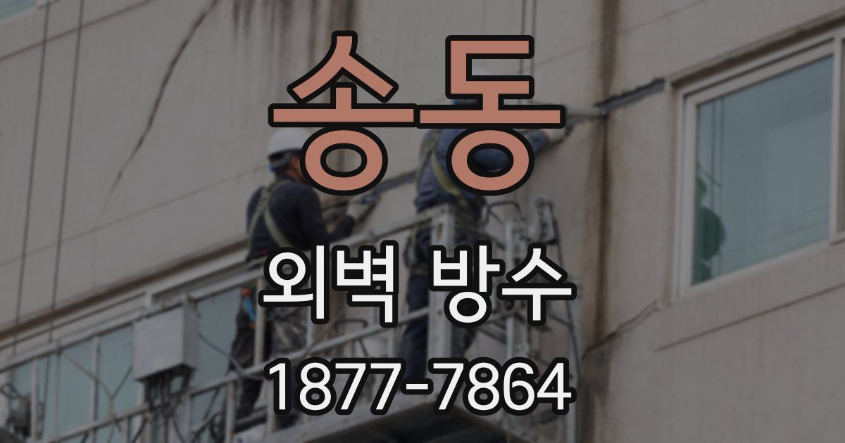 송동 외벽 방수