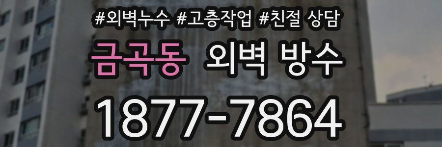 금곡동 외벽 방수