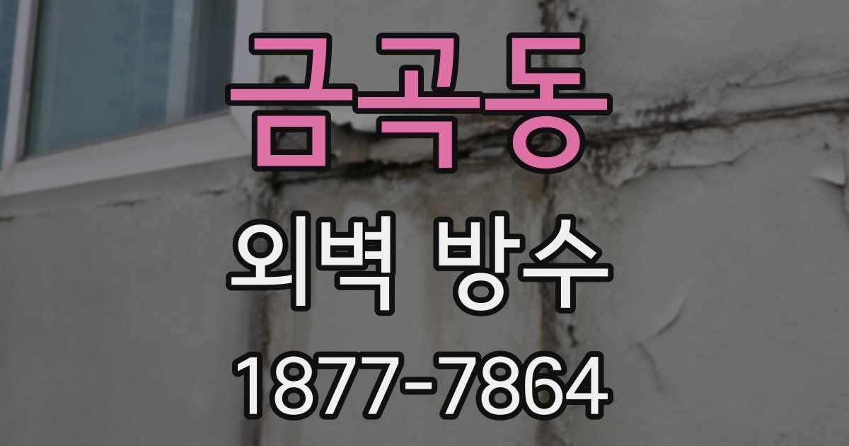 금곡동 외벽 방수