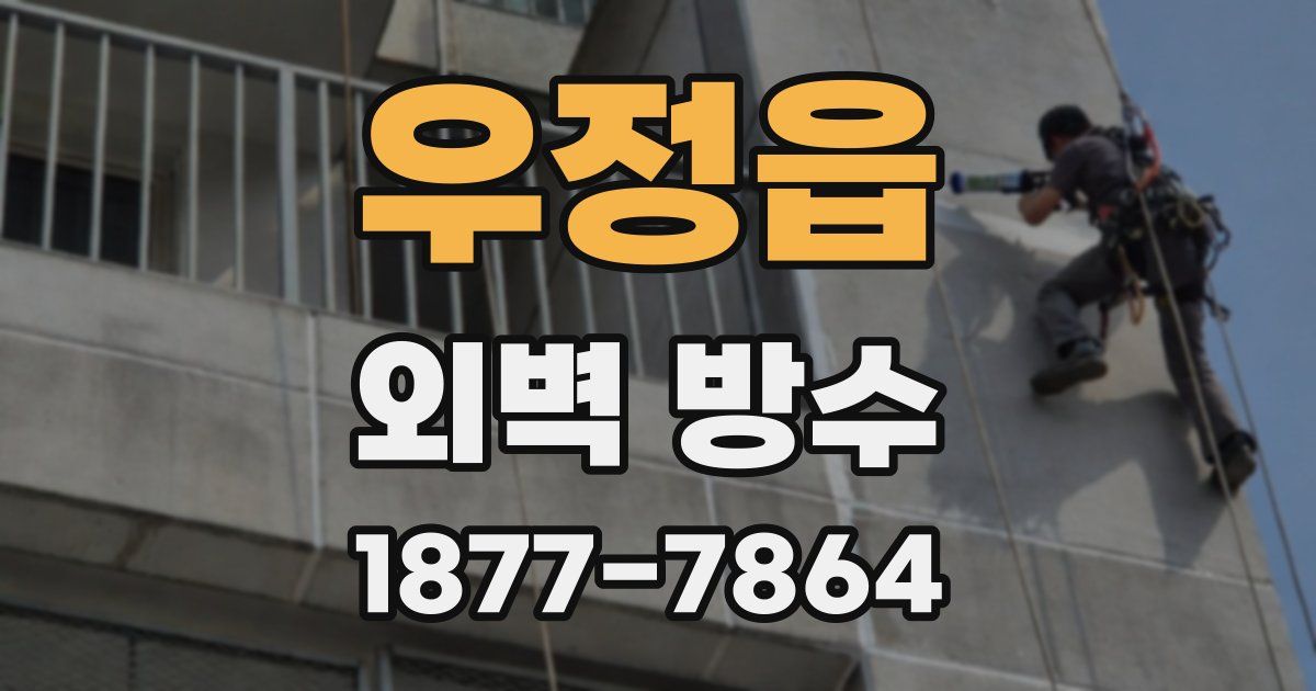 우정읍 외벽 방수