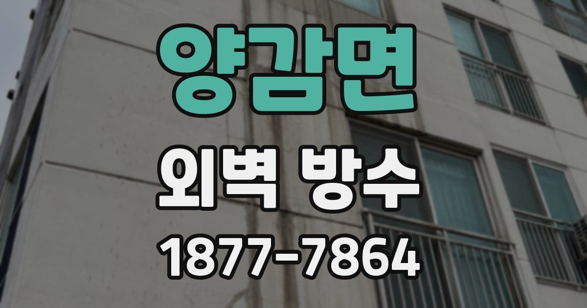양감면 외벽 방수