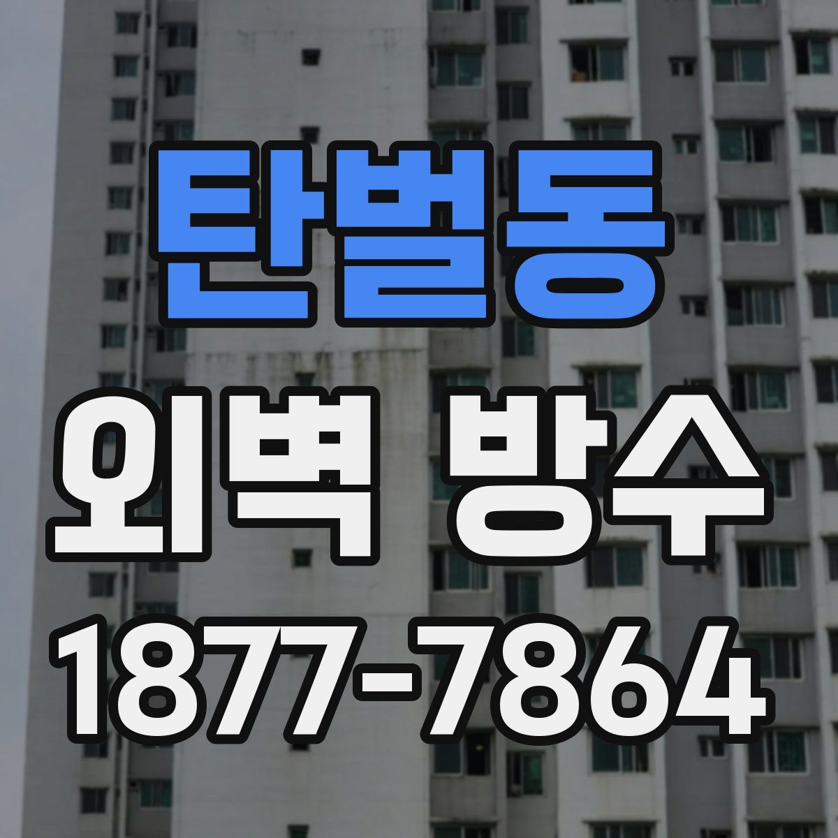 탄벌동 외벽 방수