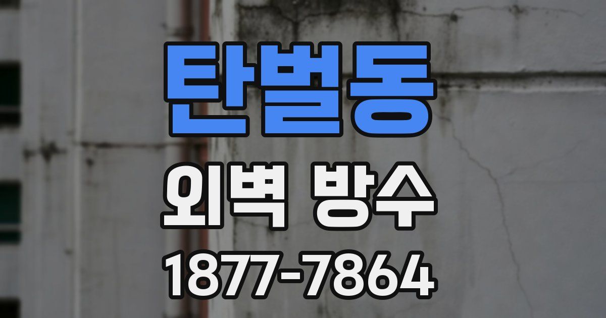 탄벌동 외벽 방수