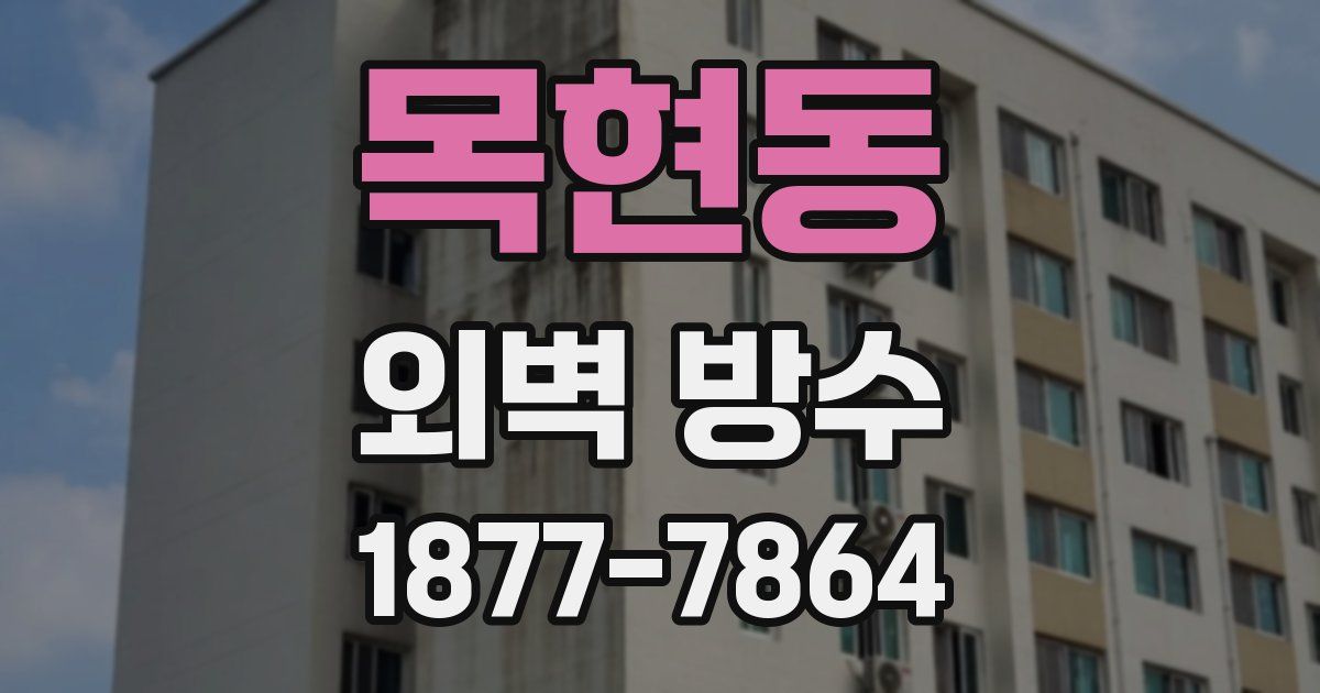 목현동 외벽 방수