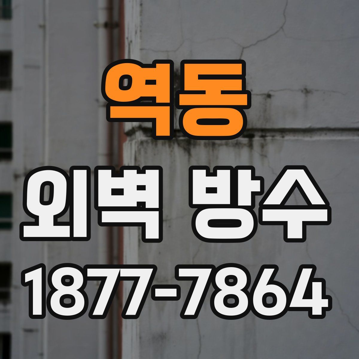 역동 외벽 방수