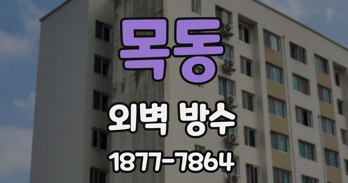 목동 외벽 방수