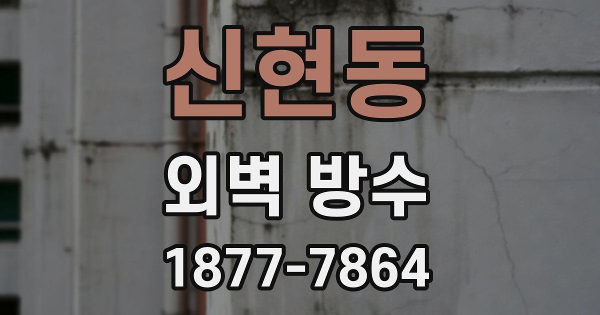 신현동 외벽 방수