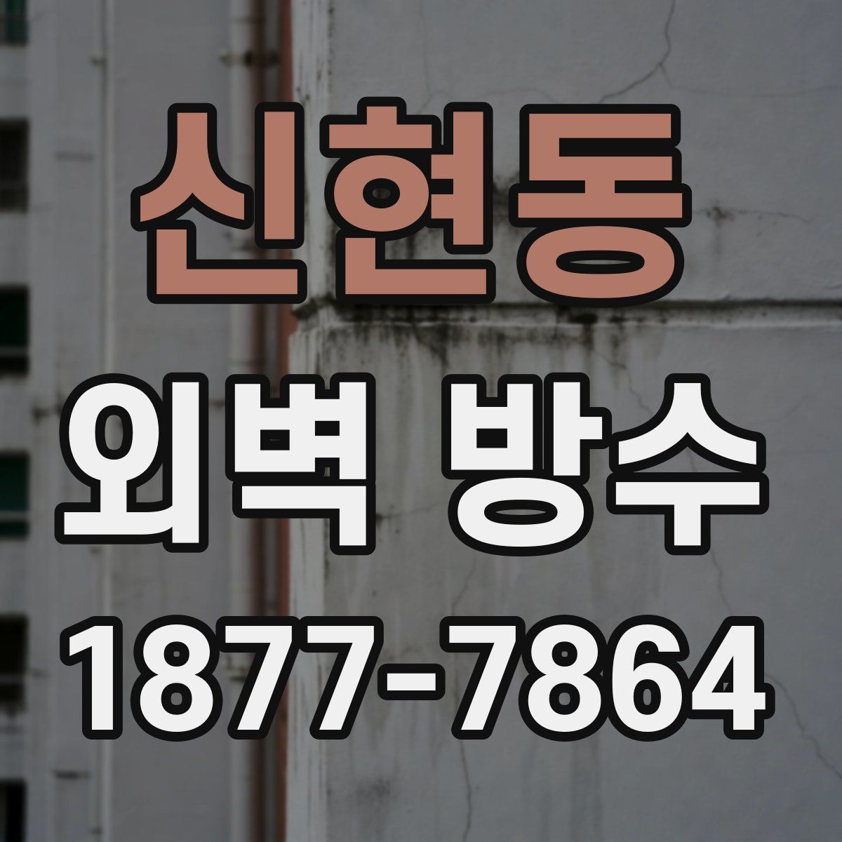 신현동 외벽 방수