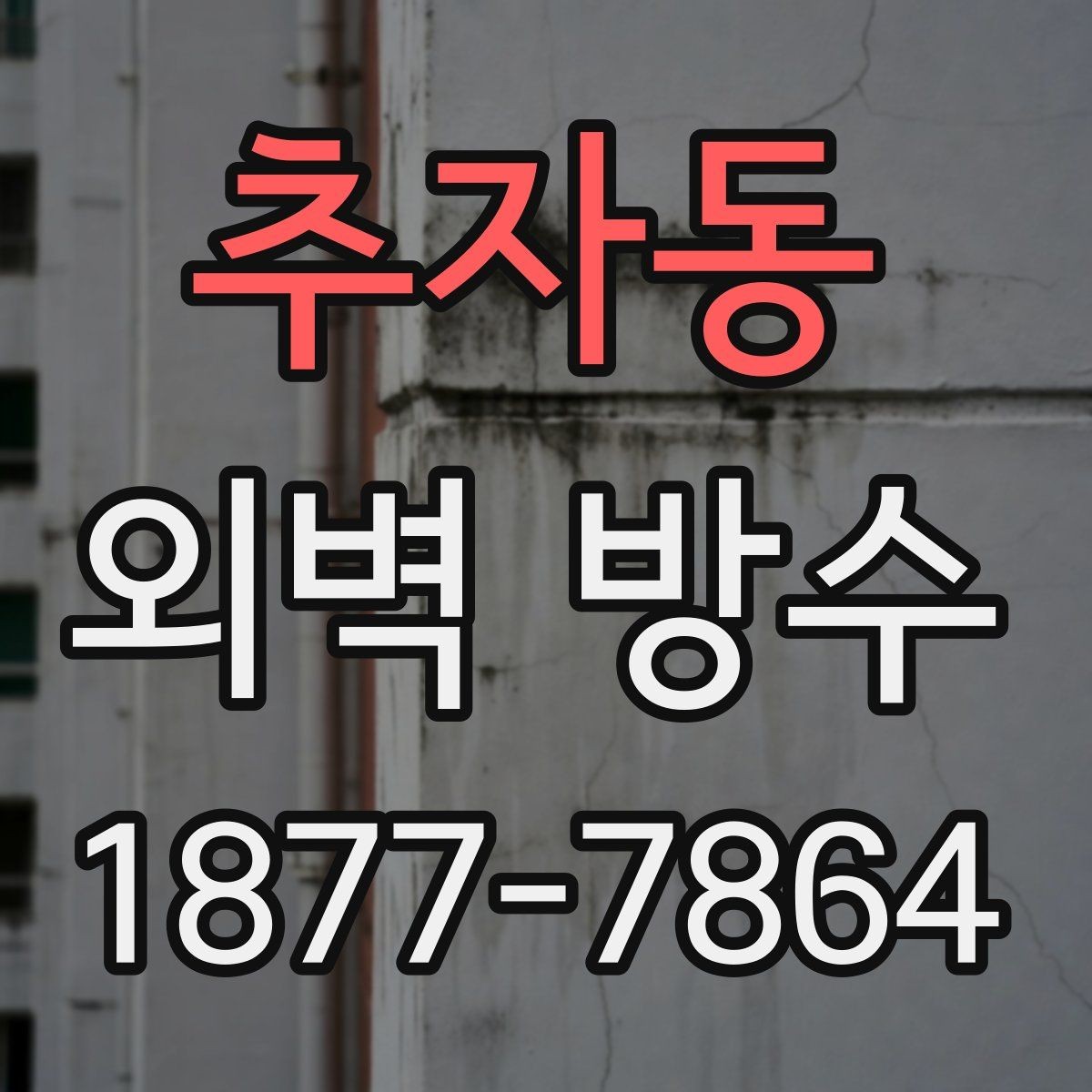 추자동 외벽 방수 자재를 고를 때 보는 기준