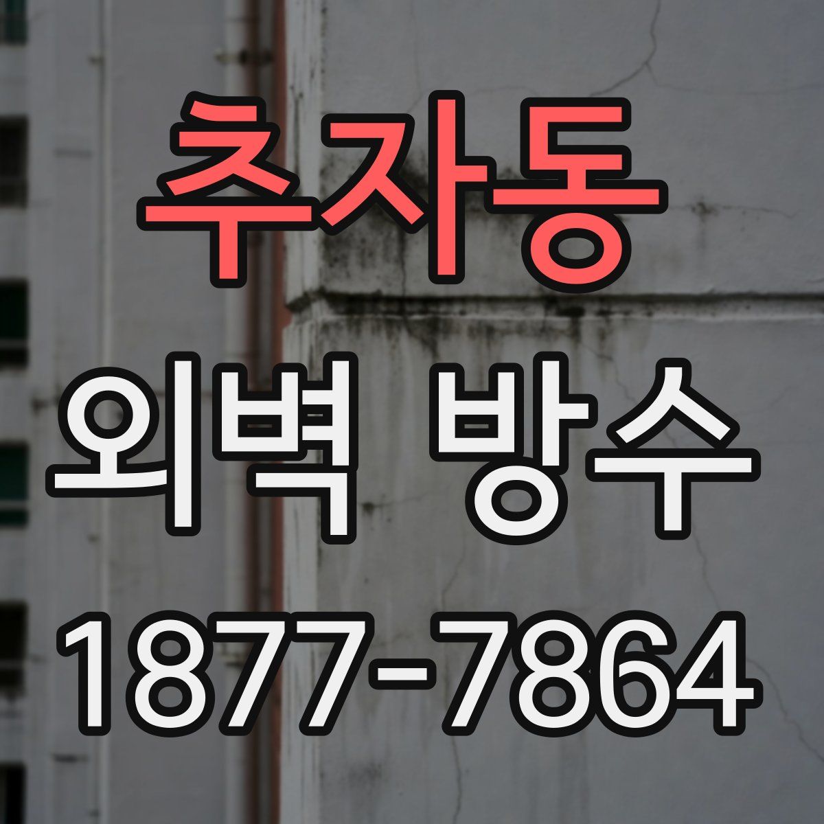 추자동 외벽 방수