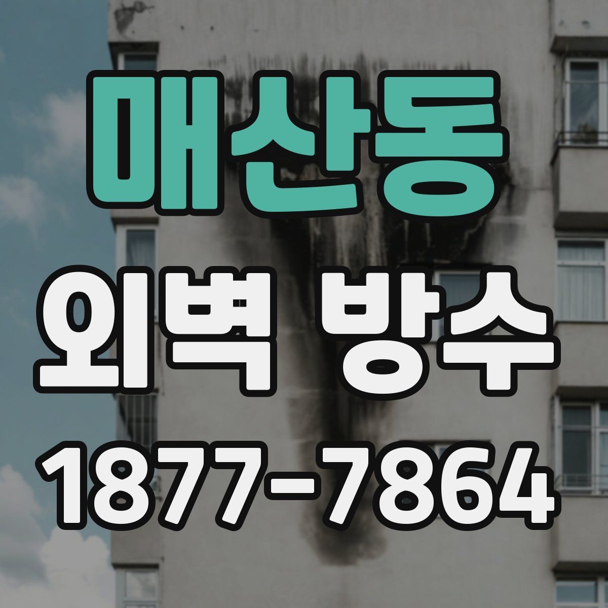 매산동 외벽 방수