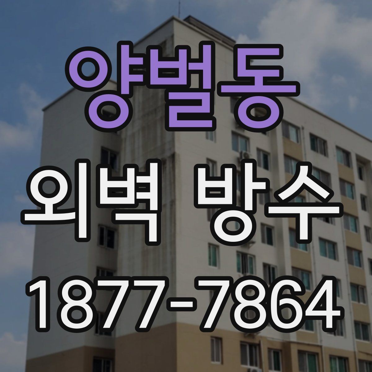 양벌동 외벽 방수 마감이 들뜨는 원인과 대응