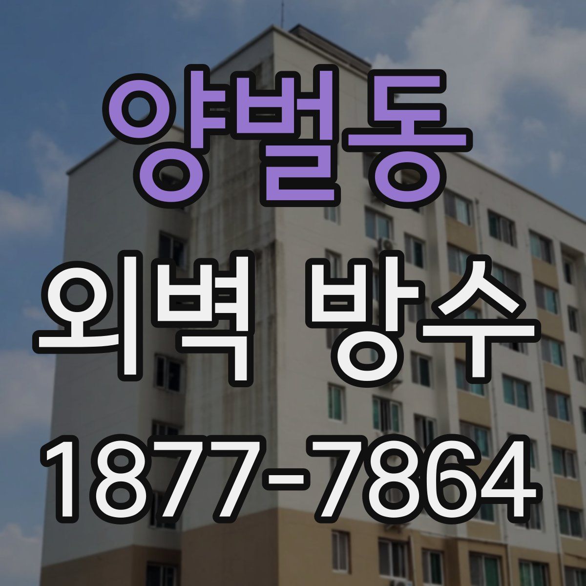 양벌동 외벽 방수