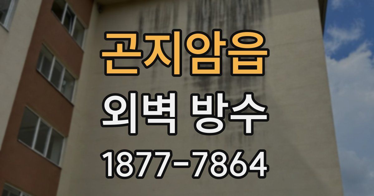 곤지암읍 외벽 방수