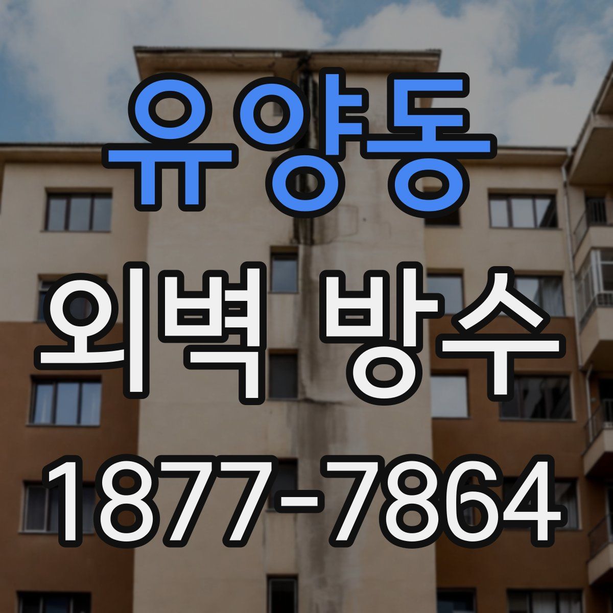 유양동 외벽 방수