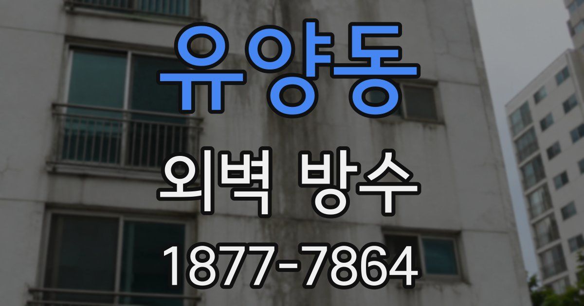 유양동 외벽 방수