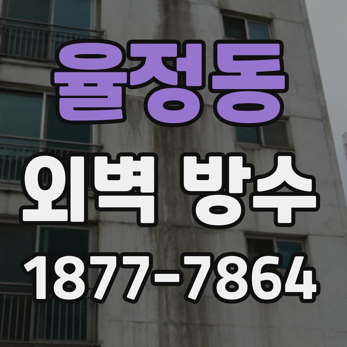 율정동 외벽 방수
