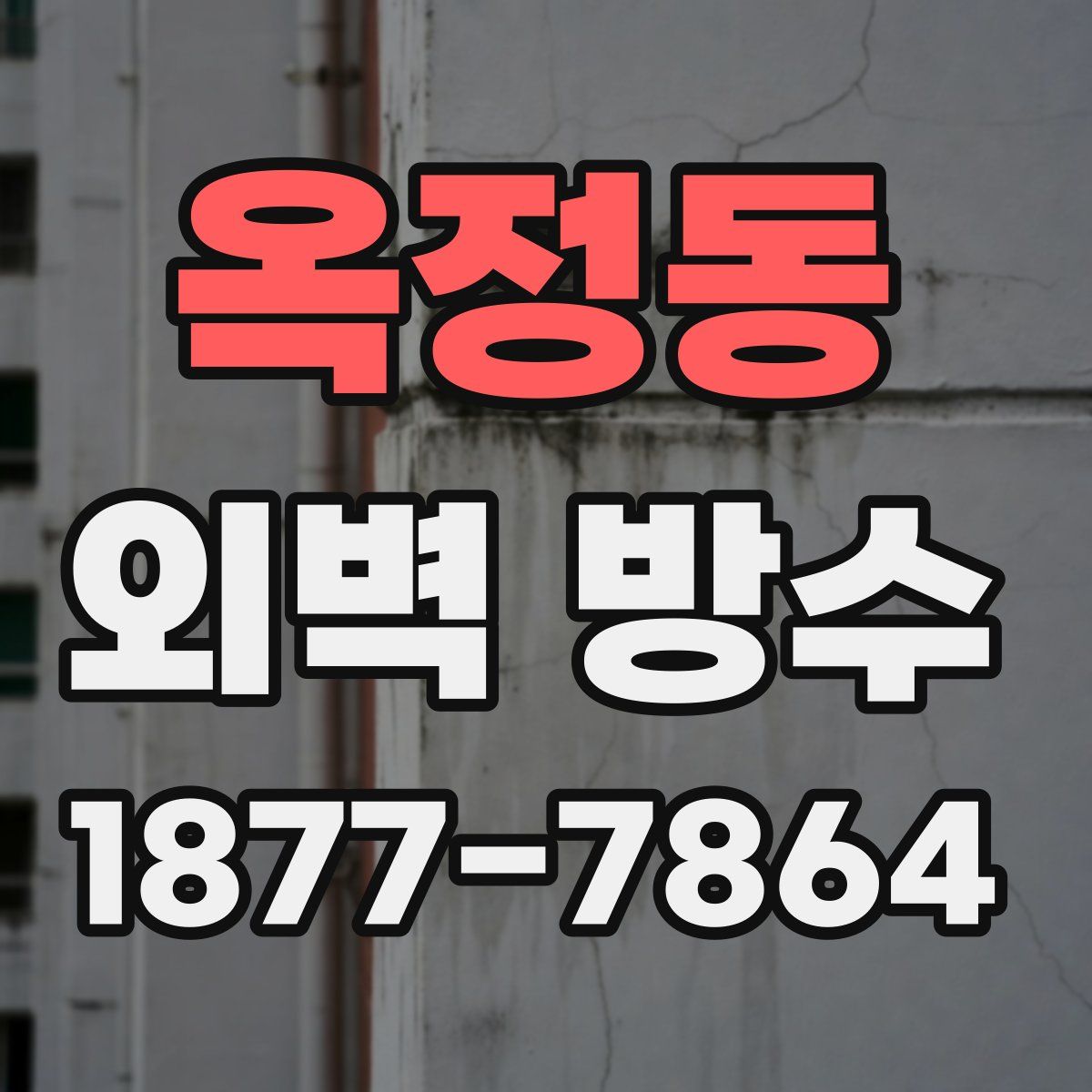 옥정동 외벽 방수