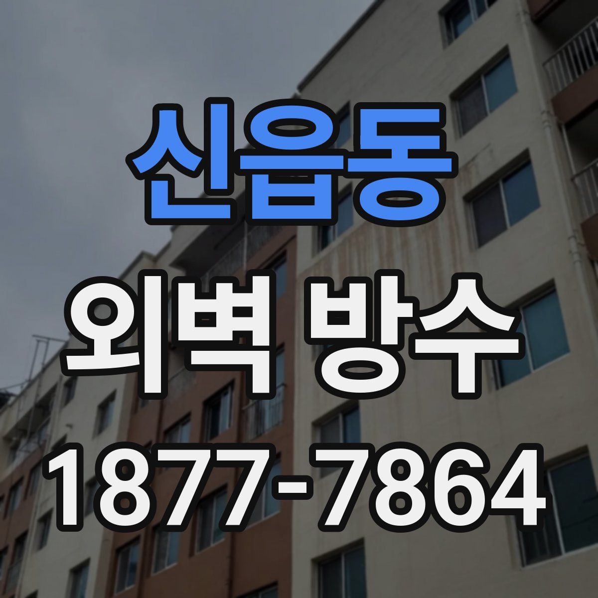 신읍동 외벽 방수