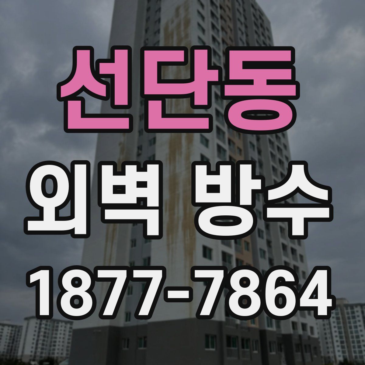 선단동 외벽 방수