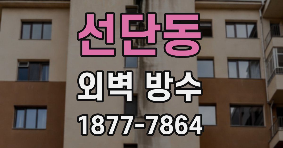 선단동 외벽 방수