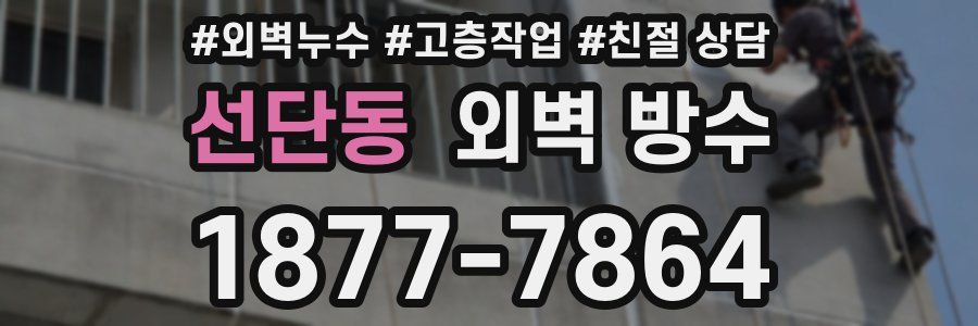 선단동 외벽 방수