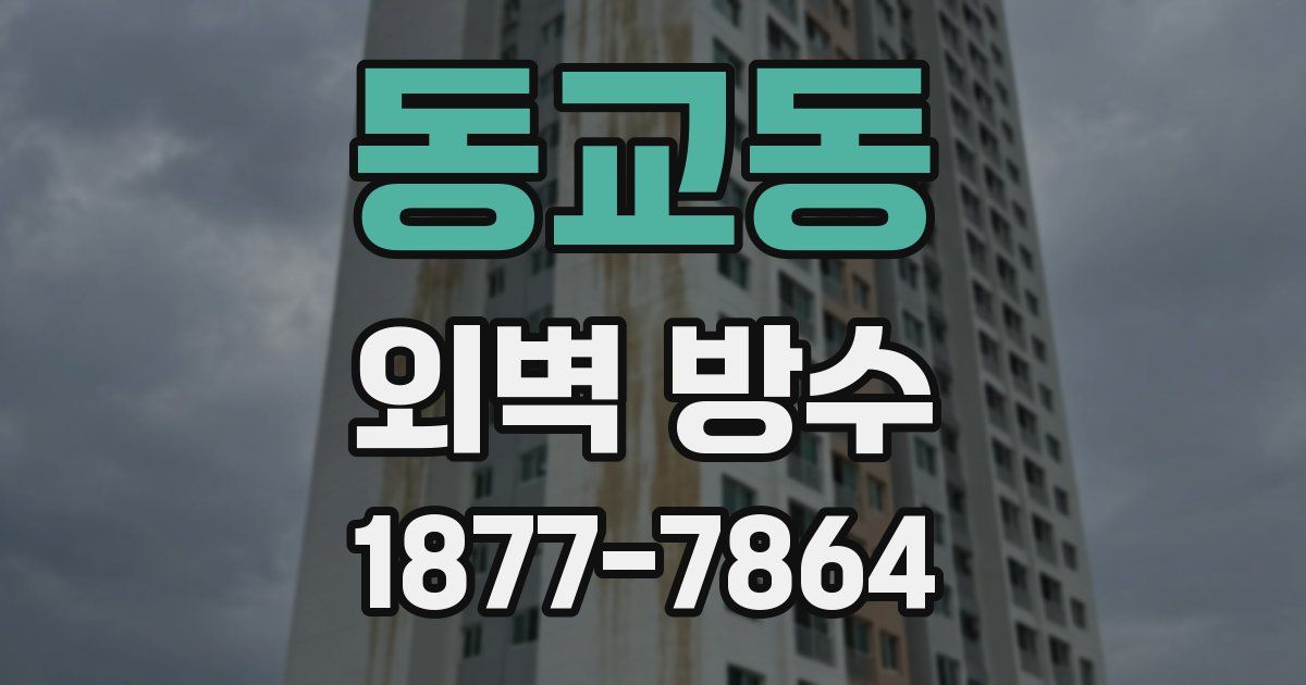 동교동 외벽 방수