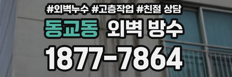 동교동 외벽 방수