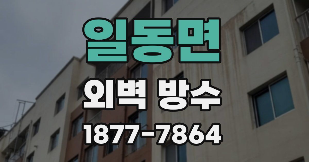 일동면 외벽 방수