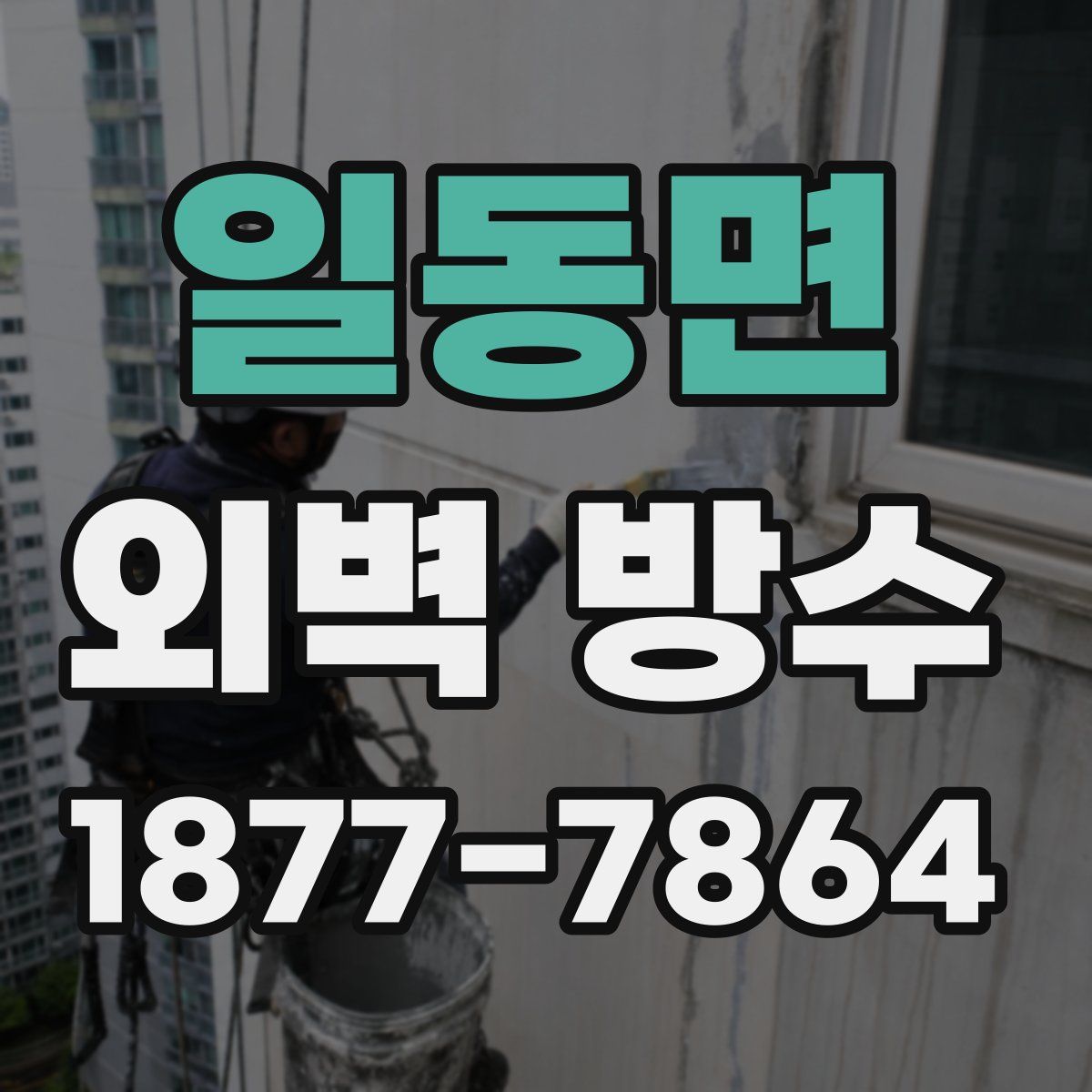 일동면 외벽 방수