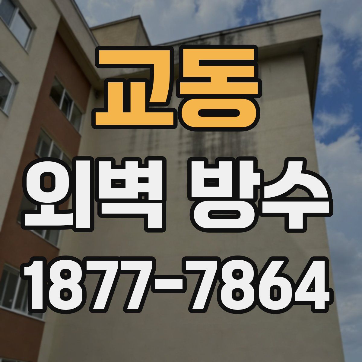 교동 외벽 방수