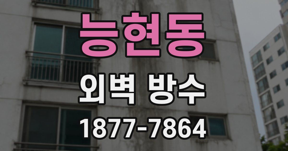 능현동 외벽 방수