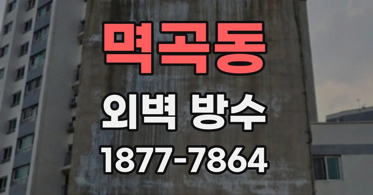 멱곡동 외벽 방수