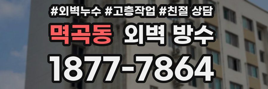 멱곡동 외벽 방수