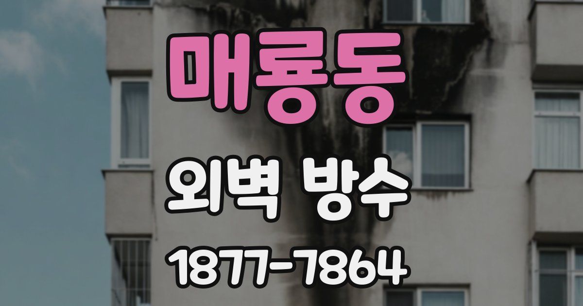 매룡동 외벽 방수