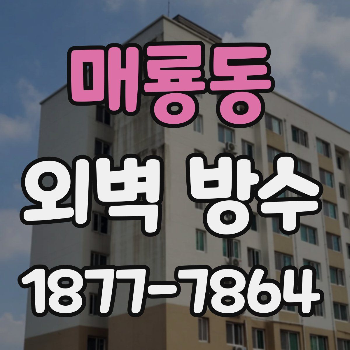 매룡동 외벽 방수