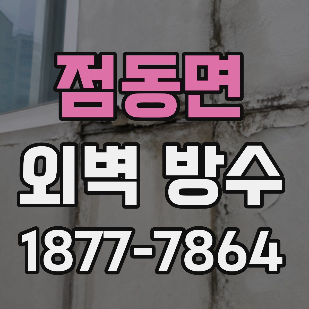 점동면 외벽 방수