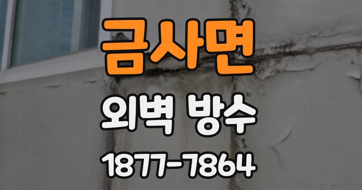 금사면 외벽 방수