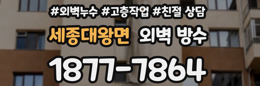 세종대왕면 외벽 방수