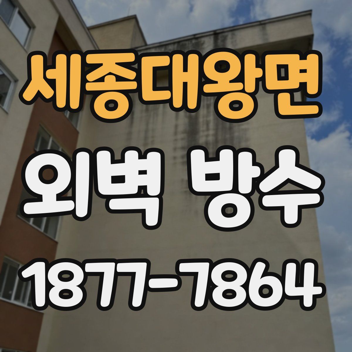 세종대왕면 외벽 방수