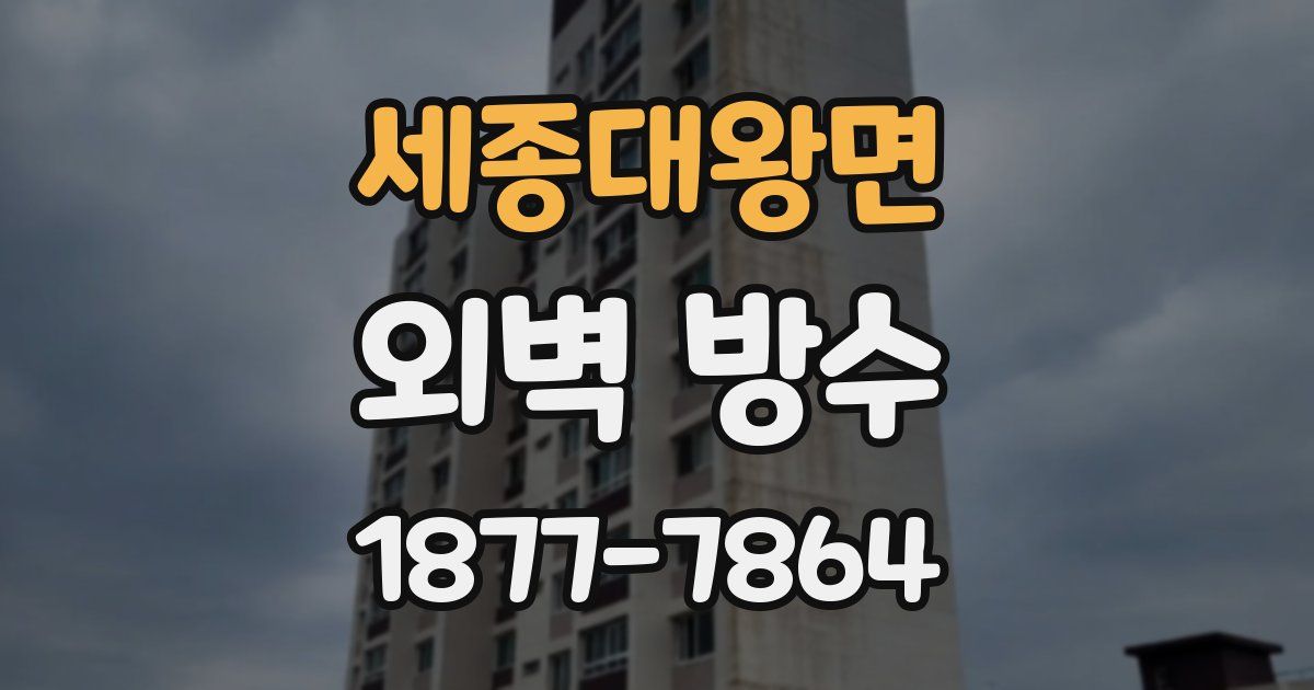 세종대왕면 외벽 방수