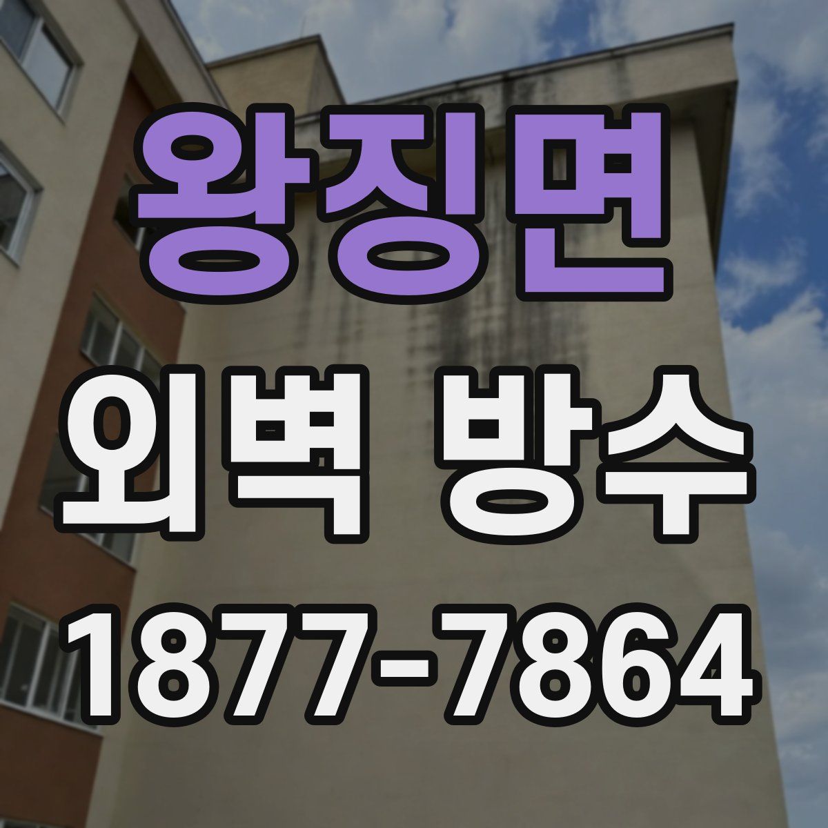왕징면 외벽 방수