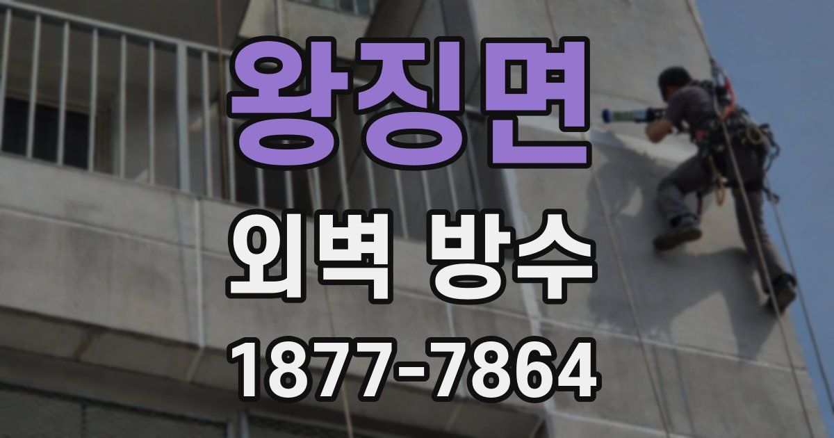 왕징면 외벽 방수