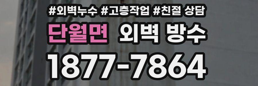 단월면 외벽 방수