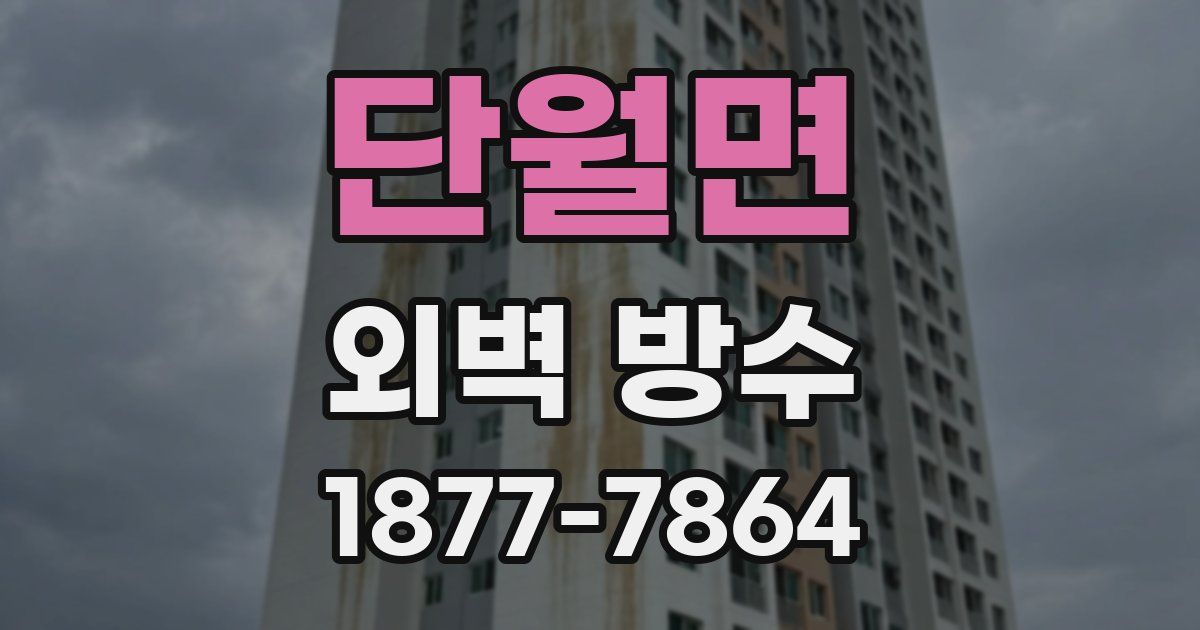단월면 외벽 방수
