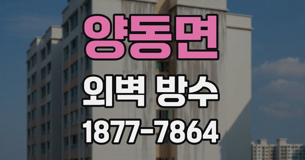 양동면 외벽 방수