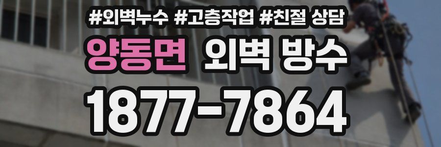 양동면 외벽 방수