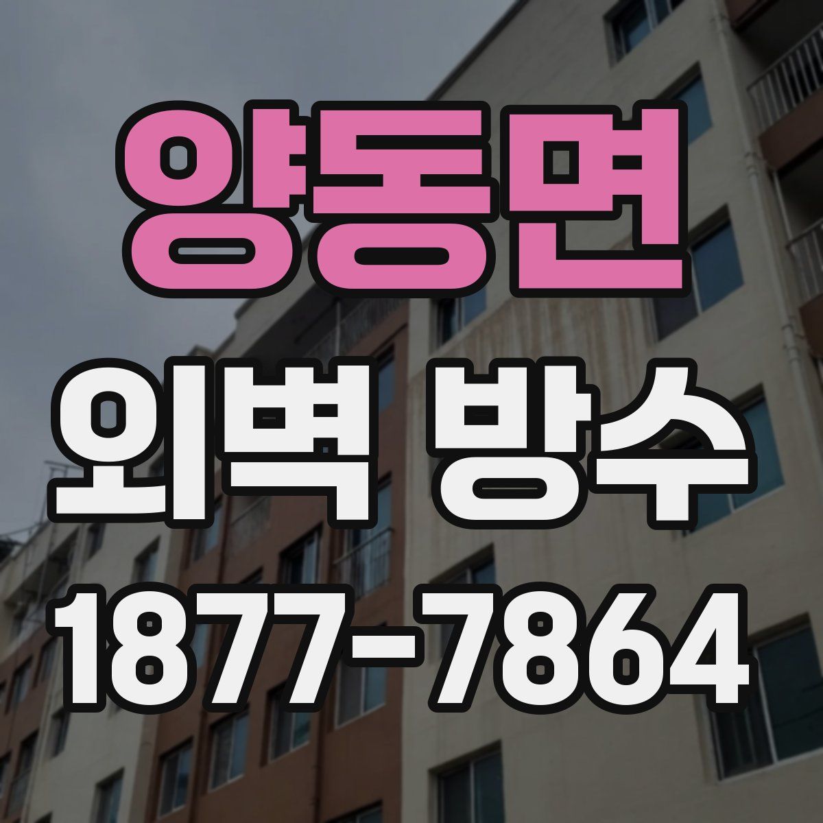 양동면 외벽 방수