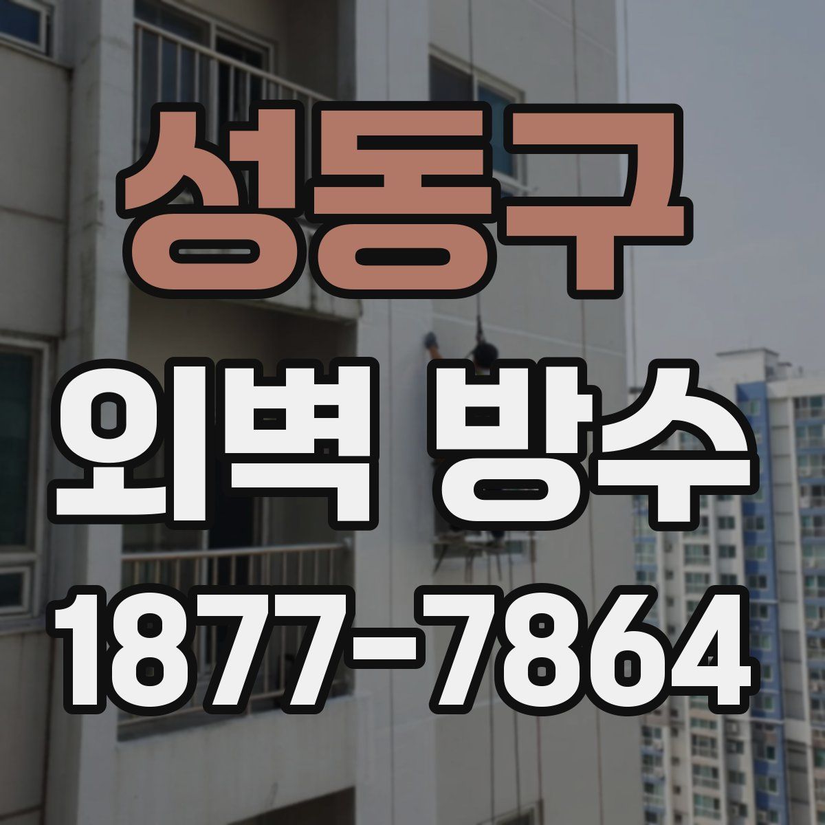 성동구 외벽 방수