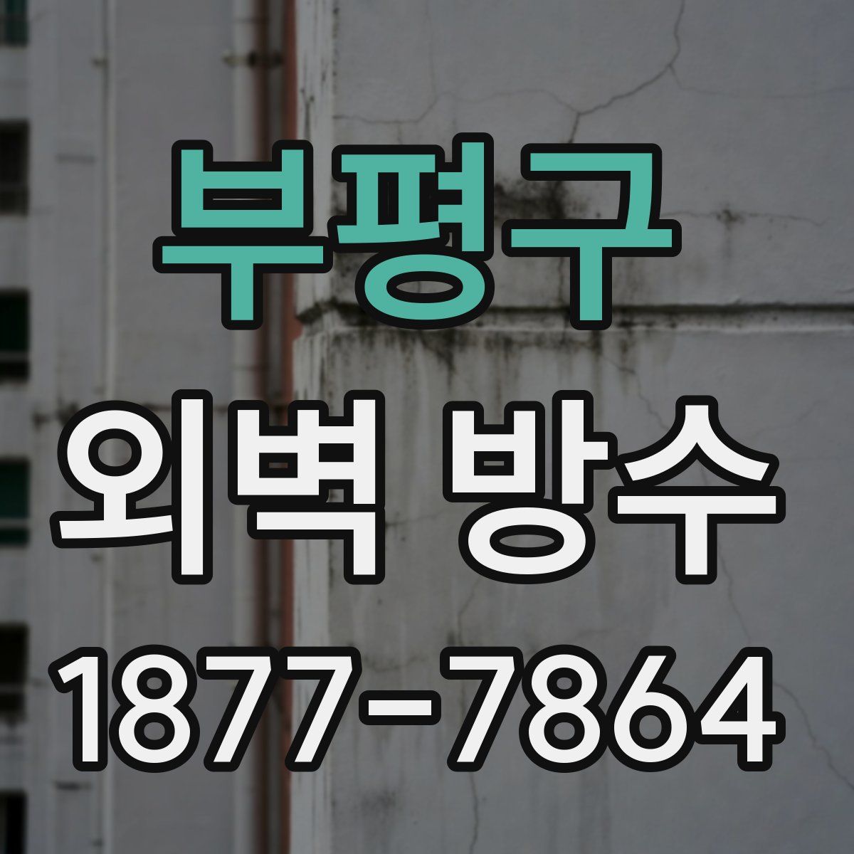 부평구 외벽 방수